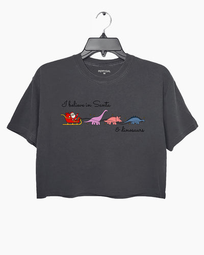 I Believe in Santa and Dinosaurs Funny Crop Top