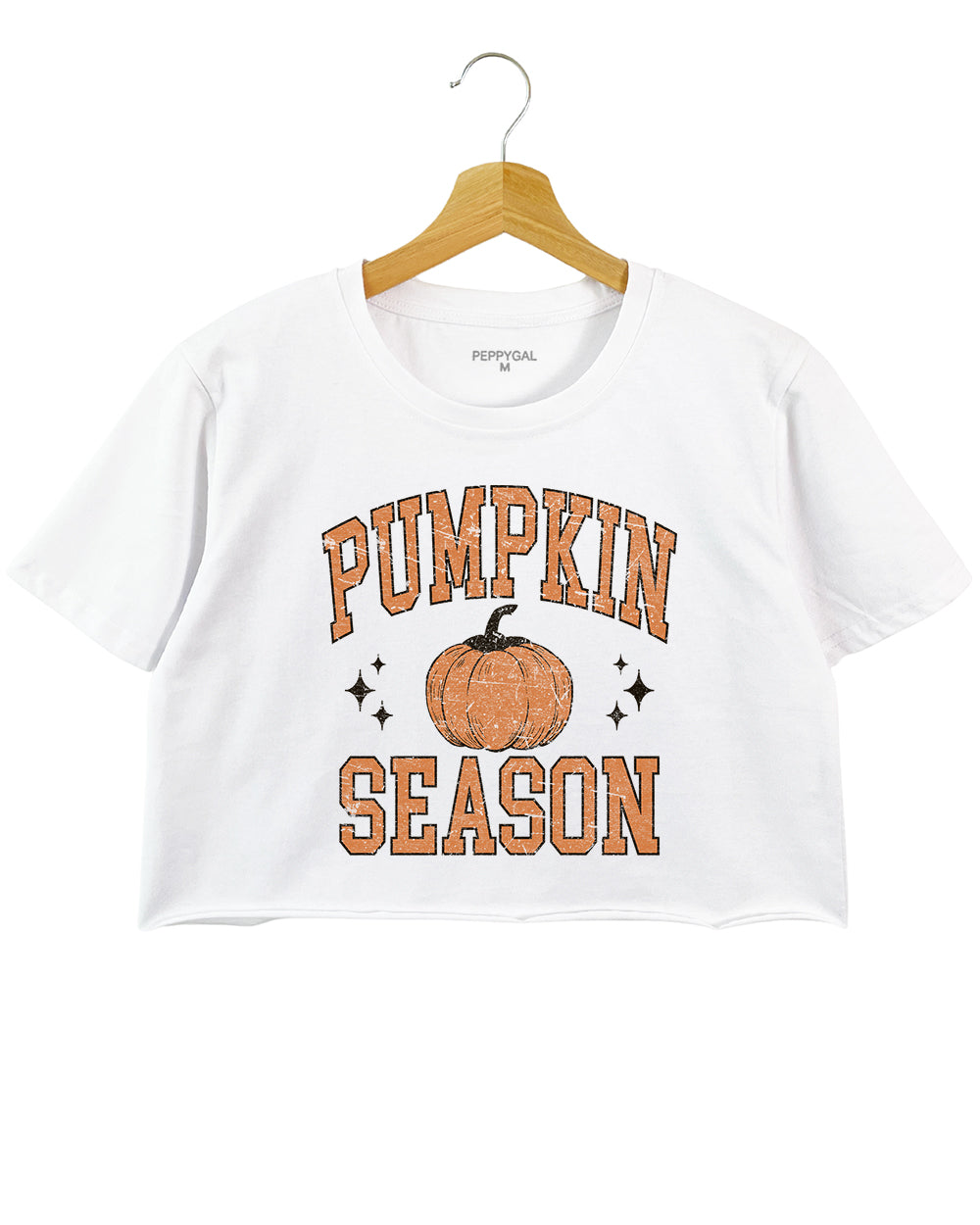 Pumpkin Season Halloween Crop Top